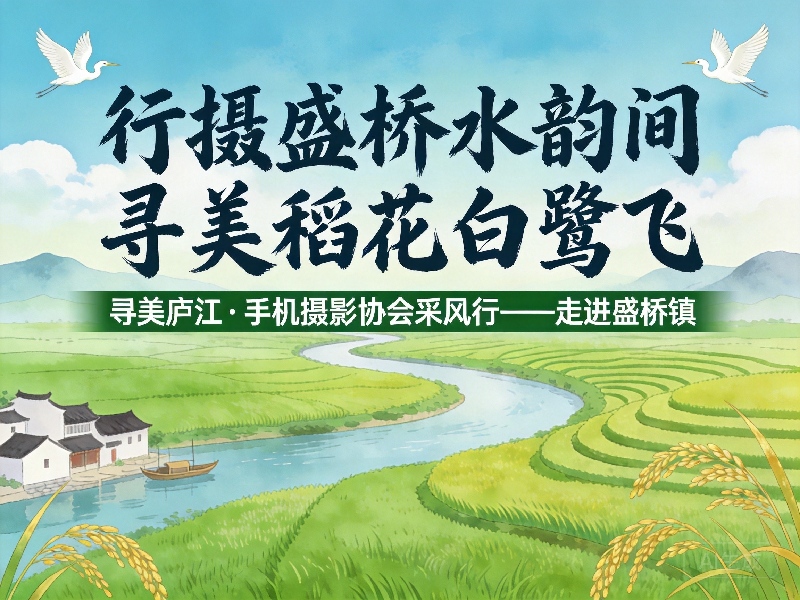 【行摄盛桥水韵间，寻美稻花白鹭飞】寻美庐江·手机摄影协会采风行——走进盛桥镇