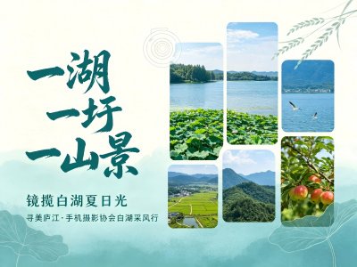 【一湖一圩一山景，镜揽白湖夏日光】寻美庐江·手机摄影协会采风行——走进白湖镇