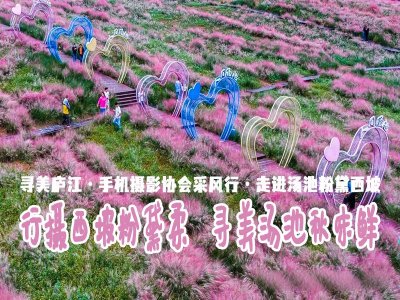【行摄西坡粉黛柔，寻味汤池秋味鲜】 ——寻美庐江·手机摄影协会采风行·走进汤池粉黛西坡