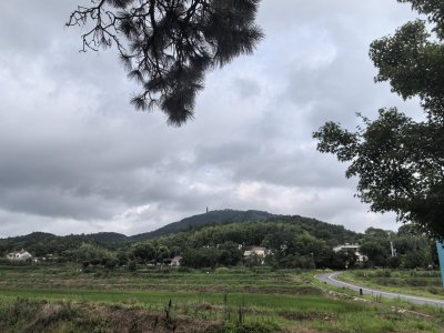 冶父山