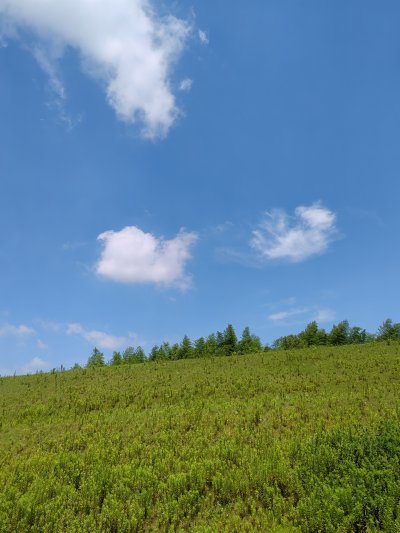 美丽的乡村