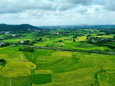 调色板