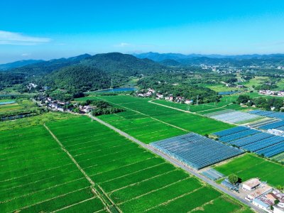 沃野村居 乡景如画