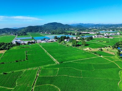 沃野村居 乡景如画