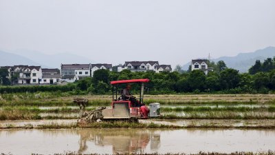 乡野春耕图