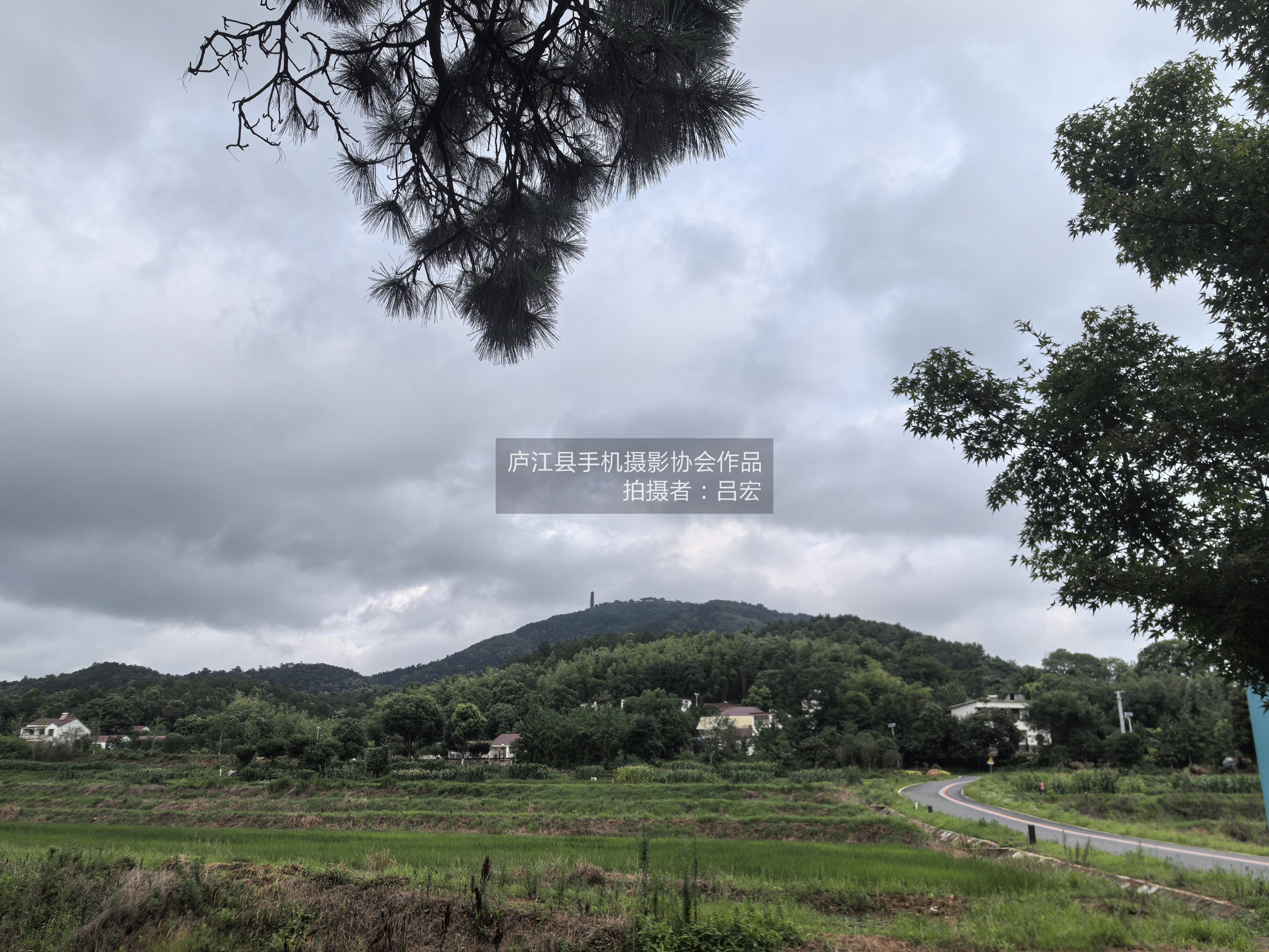 冶父山