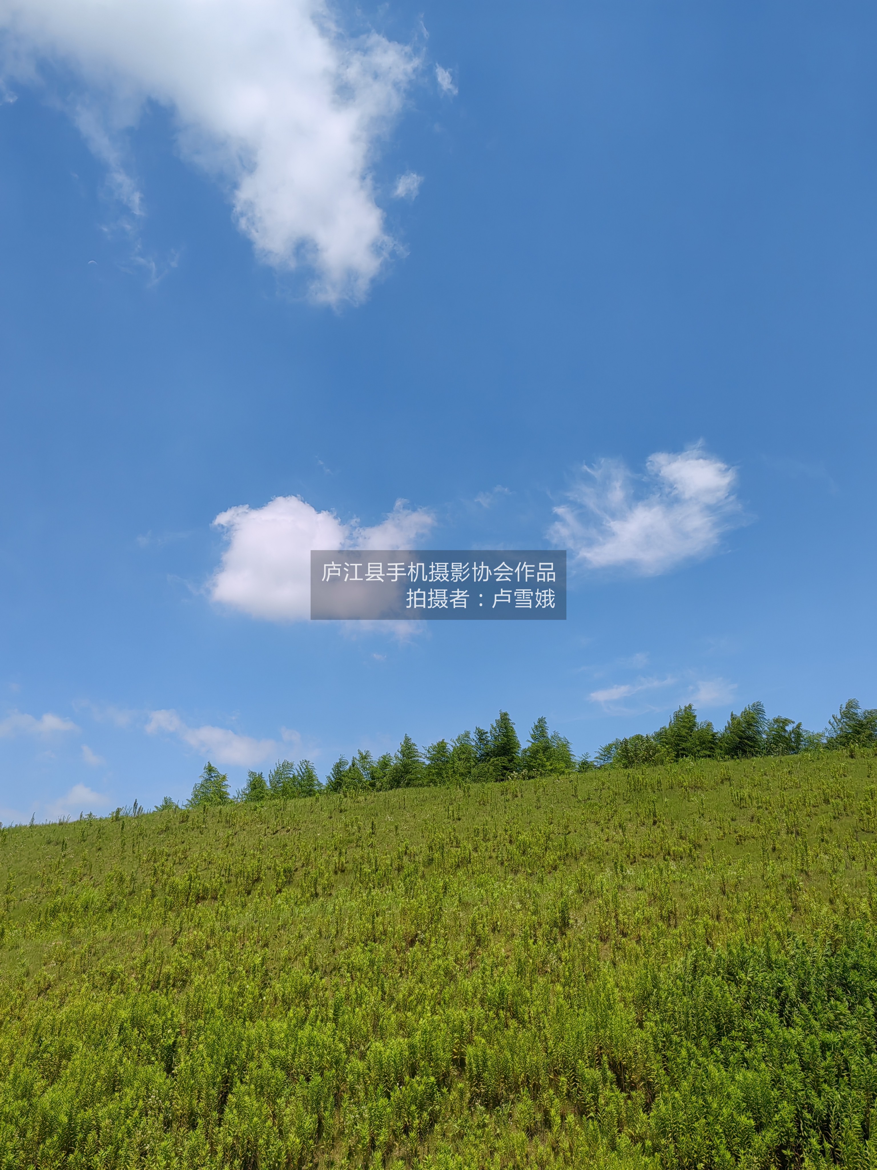 美丽的乡村